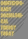 Contemporary Sociological Theory Today series logo